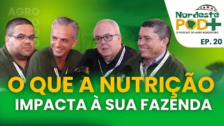 O QUE A NUTRIÇÃO IMPACTA A SUA FAZENDA | NORDESTE POD+ EP 20