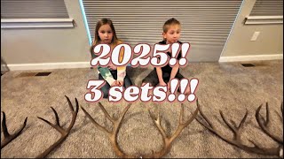 Shed Hunt 2025! |  3 Sets!!      #hunting #shedseason #camping