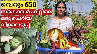 ഇത്തിരി സ്ഥലത്തെ  വിളവെടുപ്പും കൃഷിയും | Vegetable harvesting from terrace | Malayalam