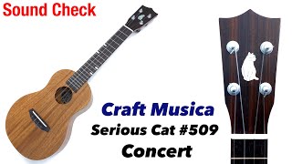 試奏【Craft Musica】Serious Cat 509 コンサートサイズ