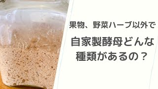 自家製酵母はどんな種類があるのか？【自家製酵母パン教室ぱん蔵/東京/山梨】