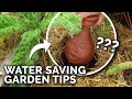 6 Clever Ways to Water Your Garden In a Drought