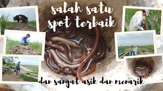 [strike] Salah Satu Spot Terbaik: Belut Nggak Habis❗Pemancing Nggak Miris‼️