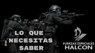 Grupo HALCÓN// TODO lo que NECESITAS SABER!