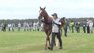 36 プチノワールの14　北海道ツアー時