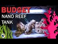 Budget Nano Reef Tank | Building OUR First EVER Marine Salt Water Reef Aquarium - MR BRIGHTFRYED