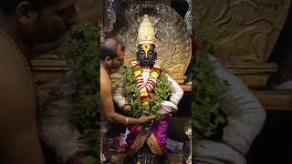 Shree Vitthal Panduranga Darshan Pandharpur Maharashtra || Shri Vitthal Rukmini Mandir Pandharpur