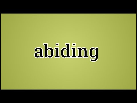 What is a synonym for abiding?