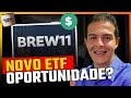 COMO FUNCIONA O BREW11, PRIMEIRO ETF DE PESOS IGUAIS DO BRASIL