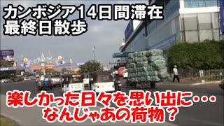 【カンボジアコミュ障おっさん1人旅】シェムリアップとプノンペン滞在2週間の旅も最終日！すっごくいい国でした！最高！ロイヤル・パレス・パーク散歩Royal Palace Park, Cambodia