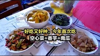 姑娘的空心菜疯长，父女俩锄完草，摘一背篓蔬菜，有你喜欢的吗？