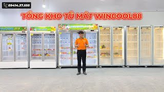 5 Mẫu Tủ Mát Wincool88 Giá Rẻ Mới Nhất Tại Tổng Kho 88