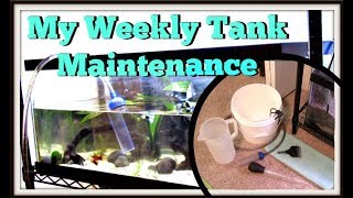 How I Do A Weekly Water Change On My 20 Gallon Long Aquarium