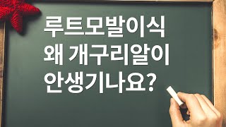 모발이식 후 개구리알 생착률을 높여주는지요?