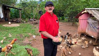 AOS 71 ANOS ELE COMPROU O SÍTIO TRABALHANDO COM JARDINAGEM