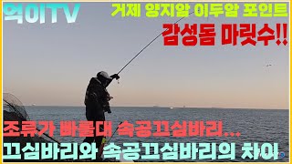 [억이TV]양지암 이두암 속공끄심바리 마릿수 감성돔낚시