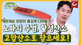 현대인이 활성산소에 취약한 이유와 활성산소로부터 우리 몸 지키는 법 [바노바기 건행쇼 6회]