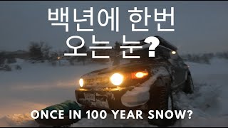 100년에 한번 온다는 눈이 왔을까. AMWF 국제커플 국제가족 한미가족 Korean American Family.  Once in 100 year snow?