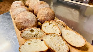 Pagnotte di pane rustico ￼