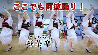 【阿波踊り2024】秋に行われる阿波踊り　昔懐かしのJAまつり　藝茶楽　みはらしの丘 あいさい広場