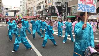 2017静岡まつり夜桜乱舞「竹千代殿どん」2