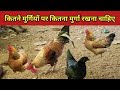 How many cocks should be kept for how many hens? Native Chicken Rearing | Home Farming |