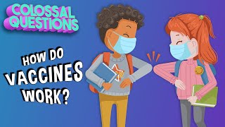How Do Vaccines Work? | COLOSSAL QUESTIONS