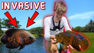 Catching The MOST INVASIVE Species In Florida