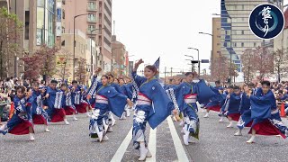 藍なり 町田夢舞生ッスイ祭2022/11/13 原町田大通り浄運寺会場【X～KAKERU～】