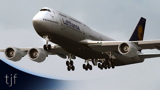 FSX - Lufthansa Boeing 747-8i at Frankfurt