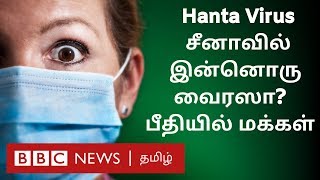 ஹான்டா வைரஸால் சீனாவில் ஒருவர் மரணம் - What is  Hanta Virus?