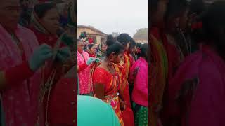 Adiwasi Disom sohrai video 2023 Laxmipur jamui #shorts