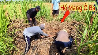 Phát Hiện Da Rắn Hổ Mang Sau Chuồng Bò Chị Gái Không Dám Ra Cắt Cỏ || Giang Ca SB 132