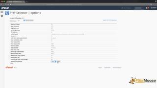 Select PHP Version & Update PHP Options