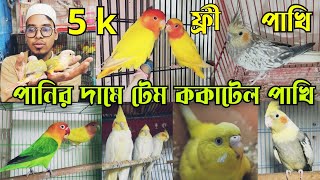 বছর শেষে ককাটেল পাখির দাম || Cockatiel bird low price || আতিক বার্ডস হাউস