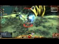 Victory or death- Guild Wars 2