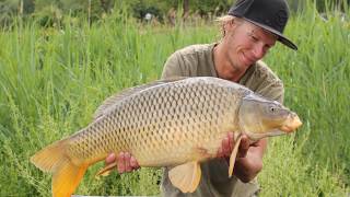 Karpfenangeln Tagessession am Baggersee Mai 2018