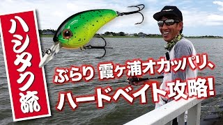 ハシタク流! ぶらり霞ヶ浦オカッパリ、ハードベイト攻略! ｜Ultimate BASS by DAIWA Vol.27