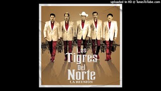 Los Tigres del Norte - Ni Se Imaginan