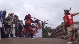 2808　平成28年金助桜まつり　鉄炮隊演舞