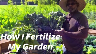 How I Approach Fertilizing my Garden