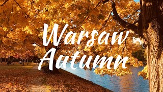 Autumn in Warsaw - Cinematic color-graded video [4K]