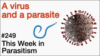 TWiP 249: A virus and a parasite