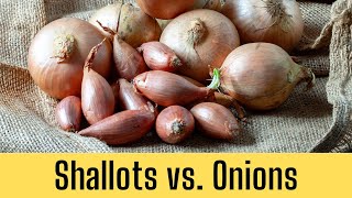 Shallots vs. Onions: What's the Difference?