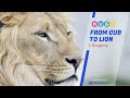 Hugo Beginner Tutorial — #5 Hugo Blogging