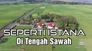 RUMAH DI TENGAH SAWAH ‼️ SUASANA PEDESAAN || dronevideo