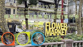 Explore Hong Kong VLOG - Prince Edward Hong Kong 旺角天光墟 | 金魚街 | 花墟 | 雀仔街