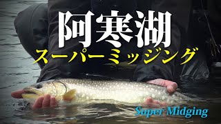 AC vol342 【阿寒湖 ヤイタイ島のスーパーミッジング ユスリカの釣り】AC釣チャンネルのフライフィッシング4K動画