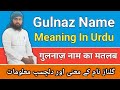 Gulnaz Name Meaning in Urdu || Gulnaz Name Ka Matlab || Ladkiyon Ke Naam || LafzeQadeerOfficial