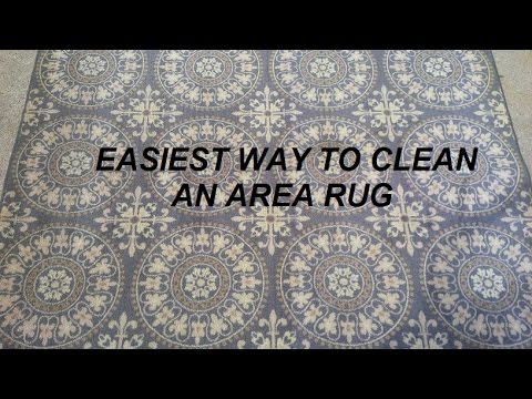 Easiest way to clean an area rug Easiest way to clean an area rug